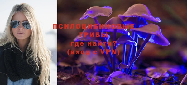 шишки Абаза