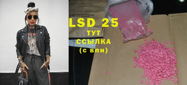 крисы Новодвинск