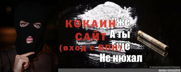 шишки Абаза