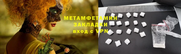 шишки Абаза