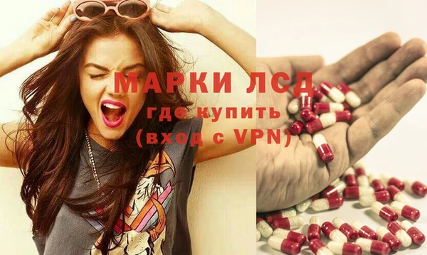 шишки Абаза