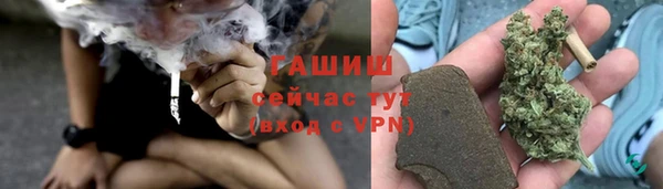 шишки Абаза