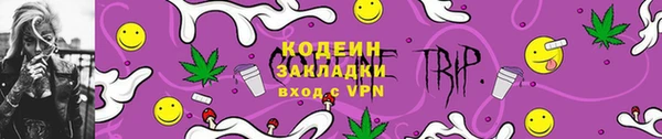 шишки Абаза