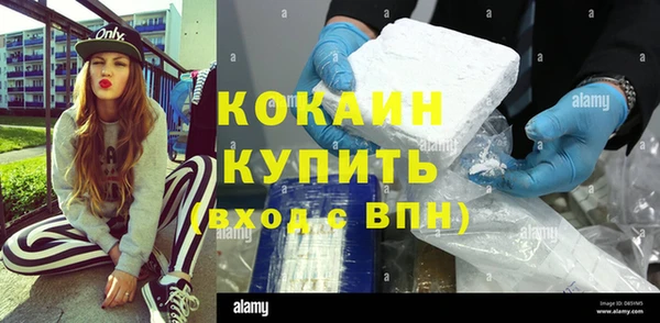 шишки Абаза