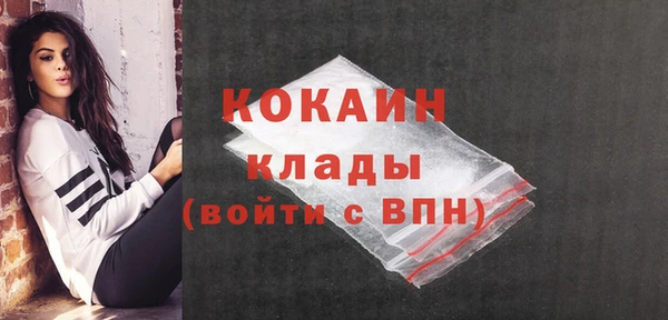 шишки Абаза