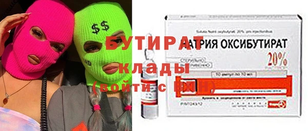 шишки Абаза